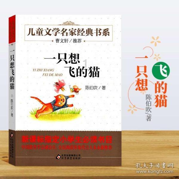 救援旅行男孩
